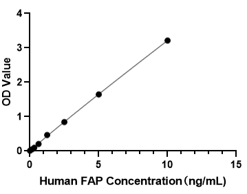 Rabbit anti- Human FAP mAb(DET）