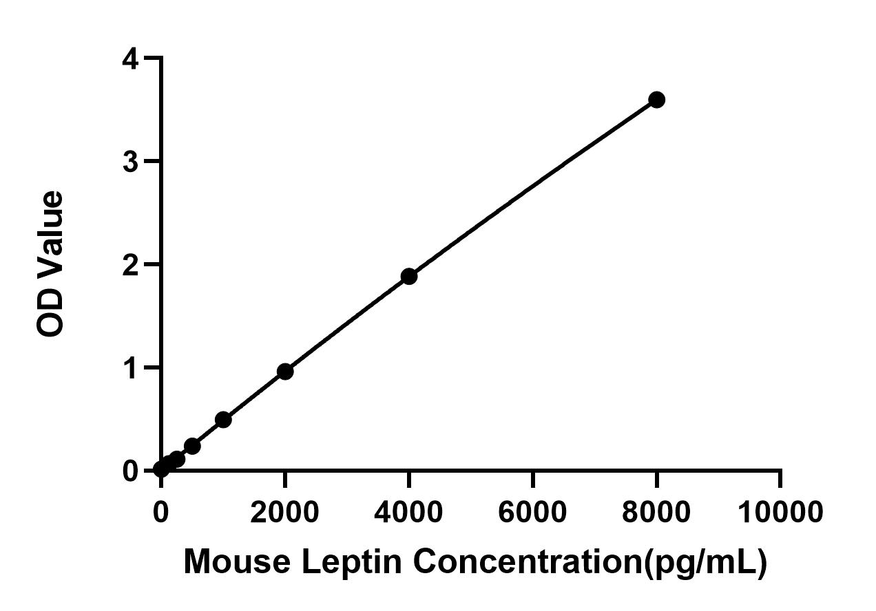 Rabbit anti- Mouse Leptin  mAb