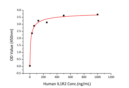 Recombinant Human IL-1R2/CD121b Protein-Bio-Markers & CD Antigens ...