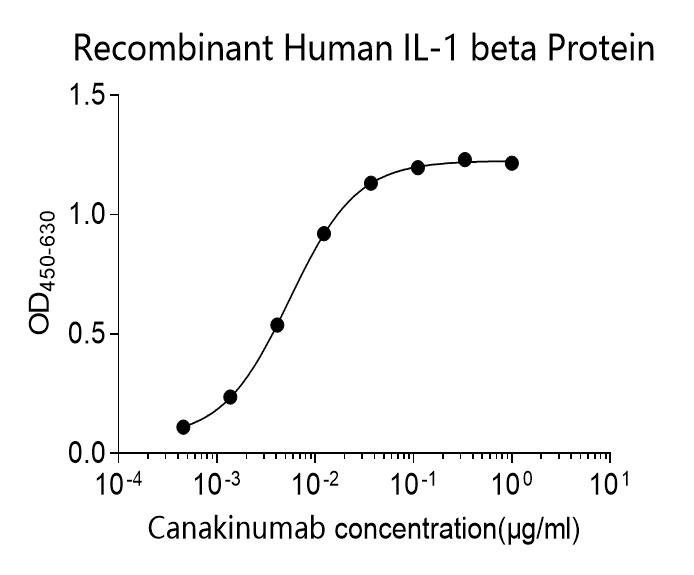 Human IL-1β Monoclonal Antibody