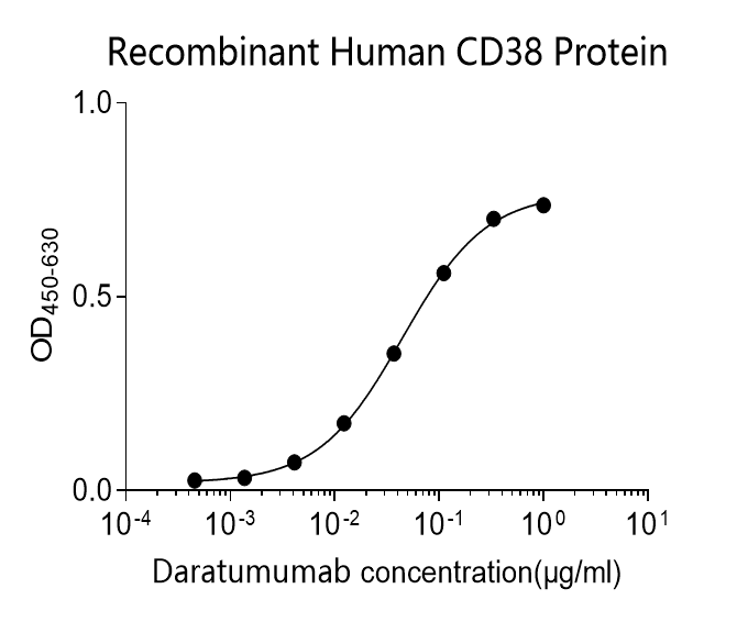 Human CD38 Monoclonal Antibody