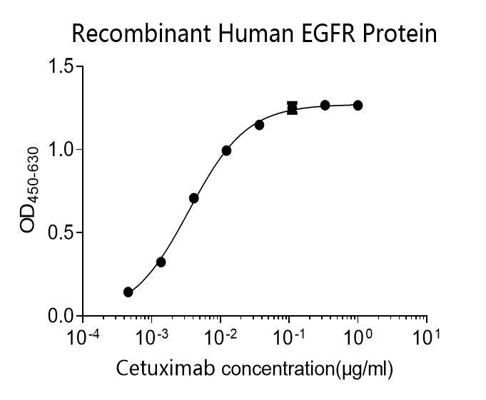 Human EGFR Monoclonal Antibody