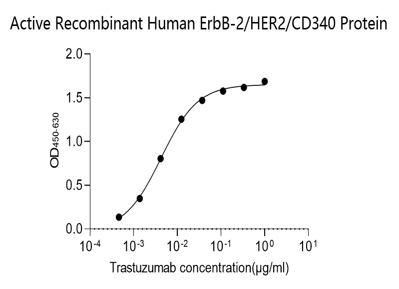 Human HER2 Monoclonal Antibody