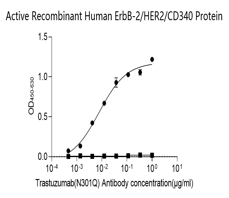 Human HER2 Monoclonal Antibody (N301Q)