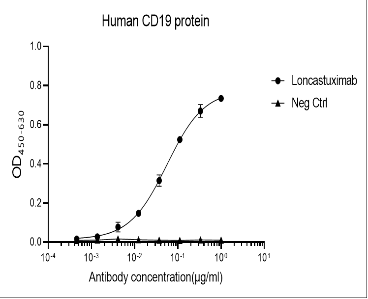 Human CD19 Monoclonal Antibody