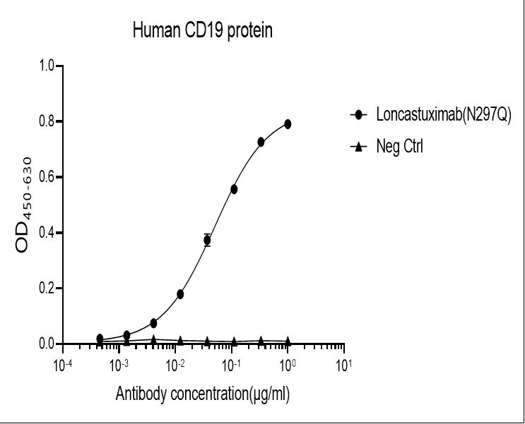 Human CD19 Monoclonal Antibody (N297Q)